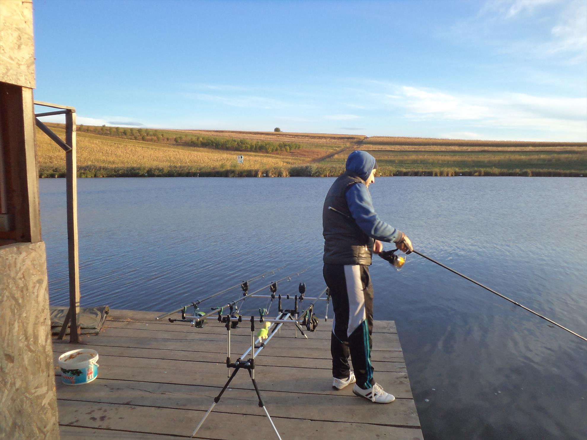 Testarea noilor bete - dsc01577.JPG